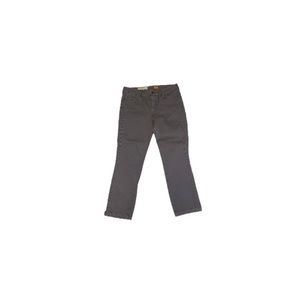 Anthropologie Pilcro and the Letterpress Grey Skinny Capris - Women’s Size 29